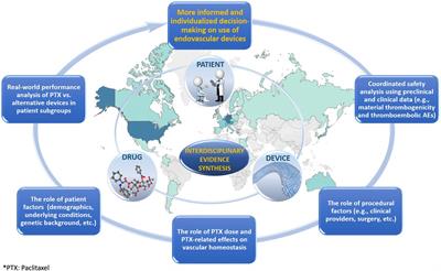 Data sources and applied methods for paclitaxel safety signal discernment